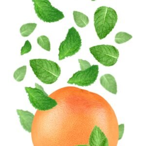 Orange Mint Garnish