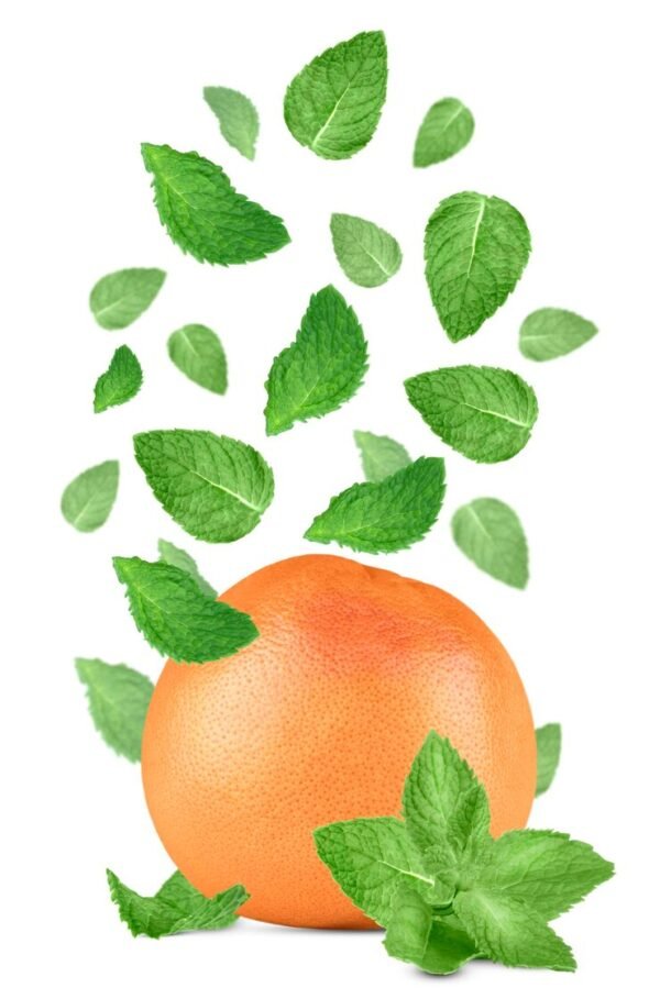Orange Mint Garnish
